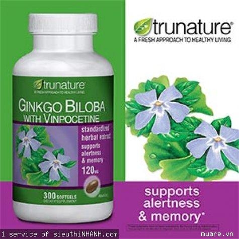 Thuốc bổ Ginkgo Biloba hỗ trợ tăng tuần hoàn não, trí nhớ và sự minh mẫn